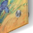 thumbnail image 2 of Epic Art 'Irises in Bloom II' by Tim O'Toole, Acrylic Glass Wall Art, 24"x24", 2 of 5
