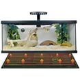 thumbnail image 7 of iPower 20" x 20" Warm Hydroponic Seedling Heat Mat Digital Thermostat Control Combo Set for Seed Germination, 7 of 7