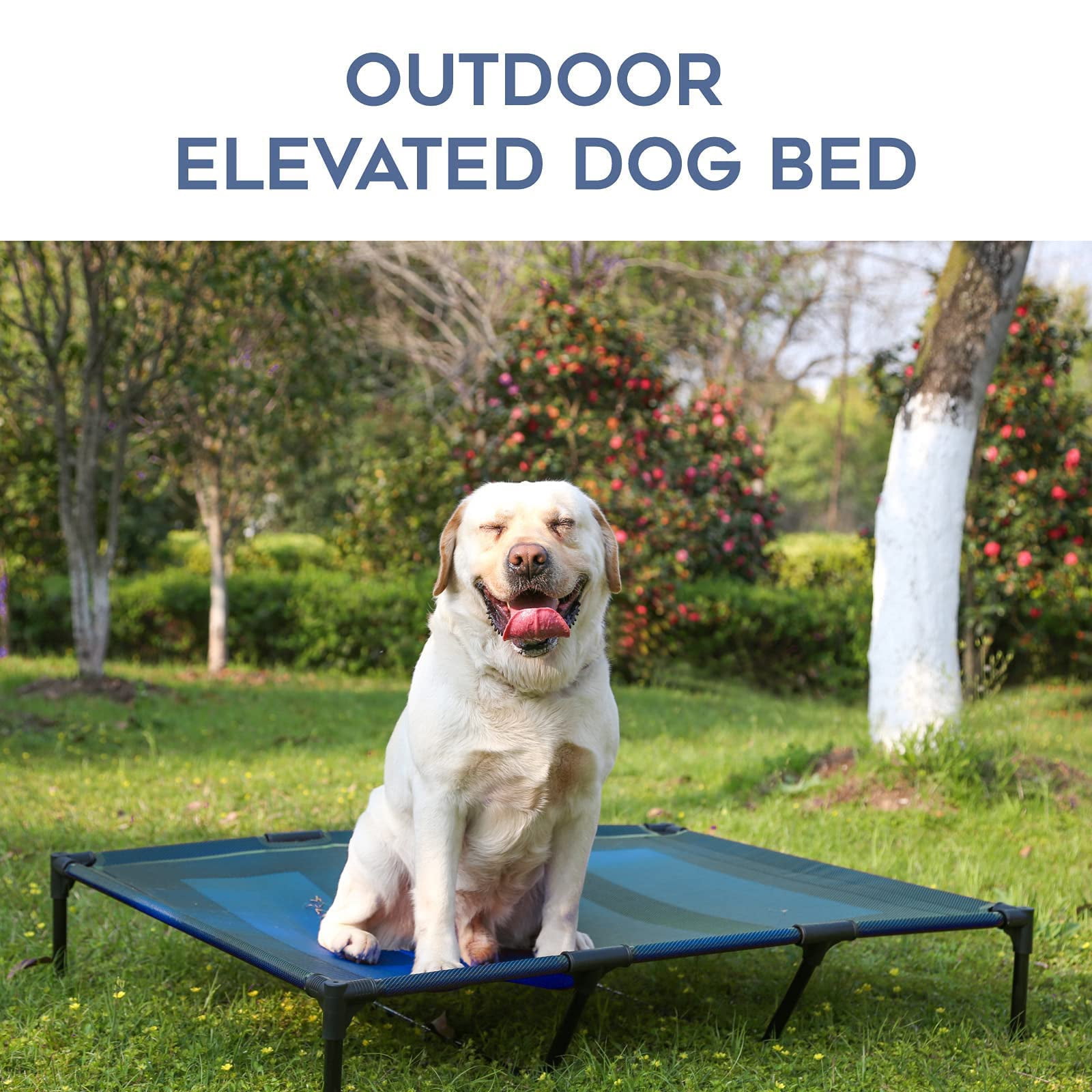 Elevated Dogs Bed Waterproof Outdoor  Portable Raised Dog Beds Off The Floor Easy Clean Indoor Or Use X-large Blue