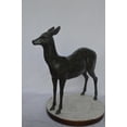 thumbnail image 5 of Nifao Doe - Baby Deer Green patina Bronze Statue – Home Decor Sculpture, 30"L x 8"W x 31"H, 5 of 9