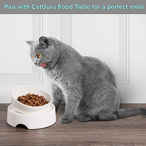 Cat Food Bowl, Ceramic Bowls for Indoor Cats, No Spill Cat Feeding Bowl, Whisker Stress Free Kitten Bowls, Pet Bowls for Food and Water, Includes Silicone Non-Slip Mat (High-Low, White)