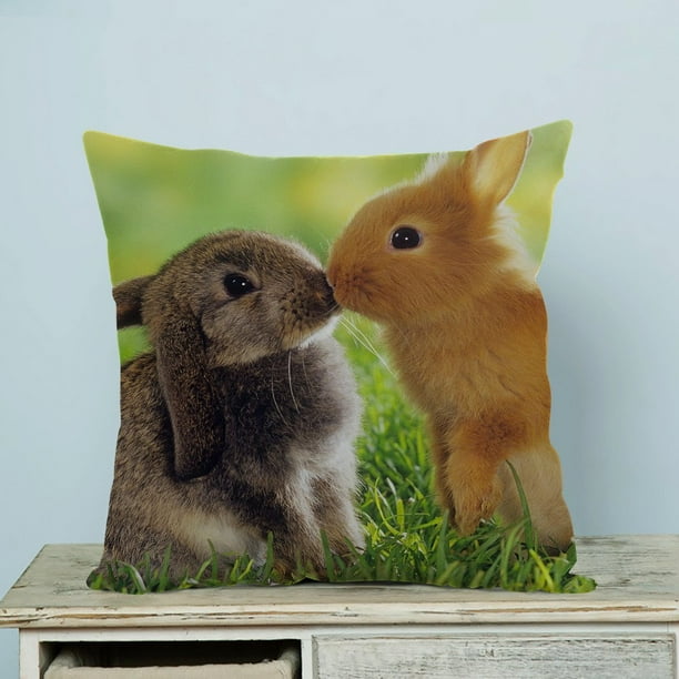 GCKG Fluffy Bunny Rabbits Pillow Case Pillow Cover Pillow Protector Two