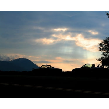 Shaffer Silhouette Wall Decal