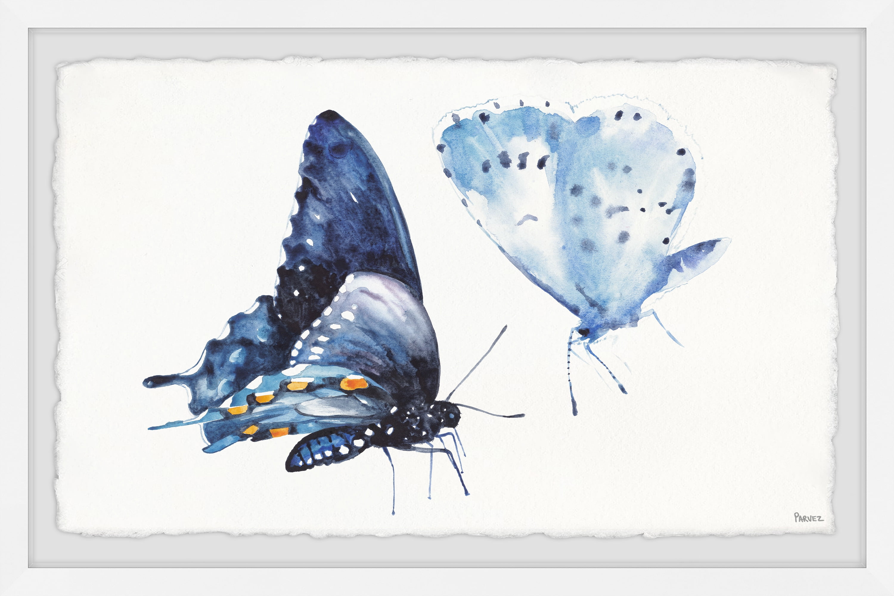 Parvez Taj "Magical Blue Butterflies" Framed Painting Print