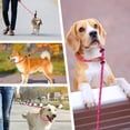 thumbnail image 6 of lynxking Slip Lead Dog Leash Reflective, Heavy Duty Comfortable Strong Rope for Large Medium Small Dogs No Pull Pet Training, 6 of 7