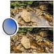 thumbnail image 5 of K&F CONCEPT 67mm Ultra Slim CPL Filter Optics Multi Coated MC Circular Polarizering Polarized Filter for DSLR Camera Lens, 5 of 5