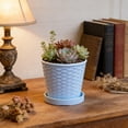 thumbnail image 5 of AYktou Imitation Wickerwork Planters, 3.9×3.7 Inch Flower Pots Outdoor & Indoor Planting Round Flowerpot with Drainage Hole & Saucer Modern Decorative Planter for Balcony Garden Home Decor, White, 5 of 6