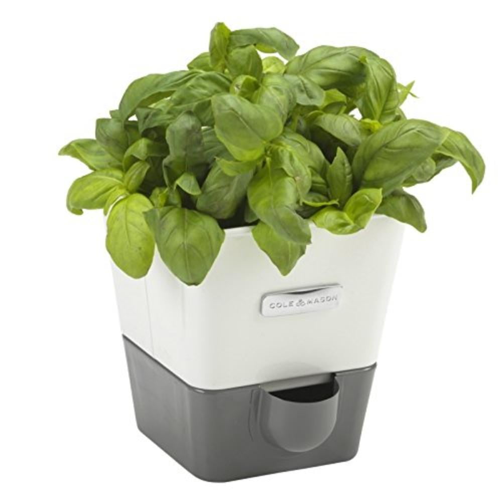 COLE & MASON Self-Watering Indoor Herb Garden Planter ...