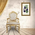 thumbnail image 3 of Anonymous 16x24 Gold Ornate Framed and Double Matted Museum Art Print Titled - Meyenia Erecta (1852-1861), 3 of 4