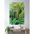 thumbnail image 2 of Jurassic Forest Poster Wall Art, Modern Wall Decor, 24x36 UNFRAMED, 2 of 3