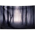 thumbnail image 1 of Tapiz de bosque brumoso para colgar en la pared, tapiz de pared de Halloween para dormitorio, sala de estar, telón de fondo de bosque brumoso de fantasía oscura paisaje de bosques de fantasía G, 1 of 5