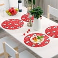 thumbnail image 6 of GZHJMY Round Mesh Placemat, Kitchen Table Decoration, Non-Slip and Heat Resistant, Love Panda, 6 of 7
