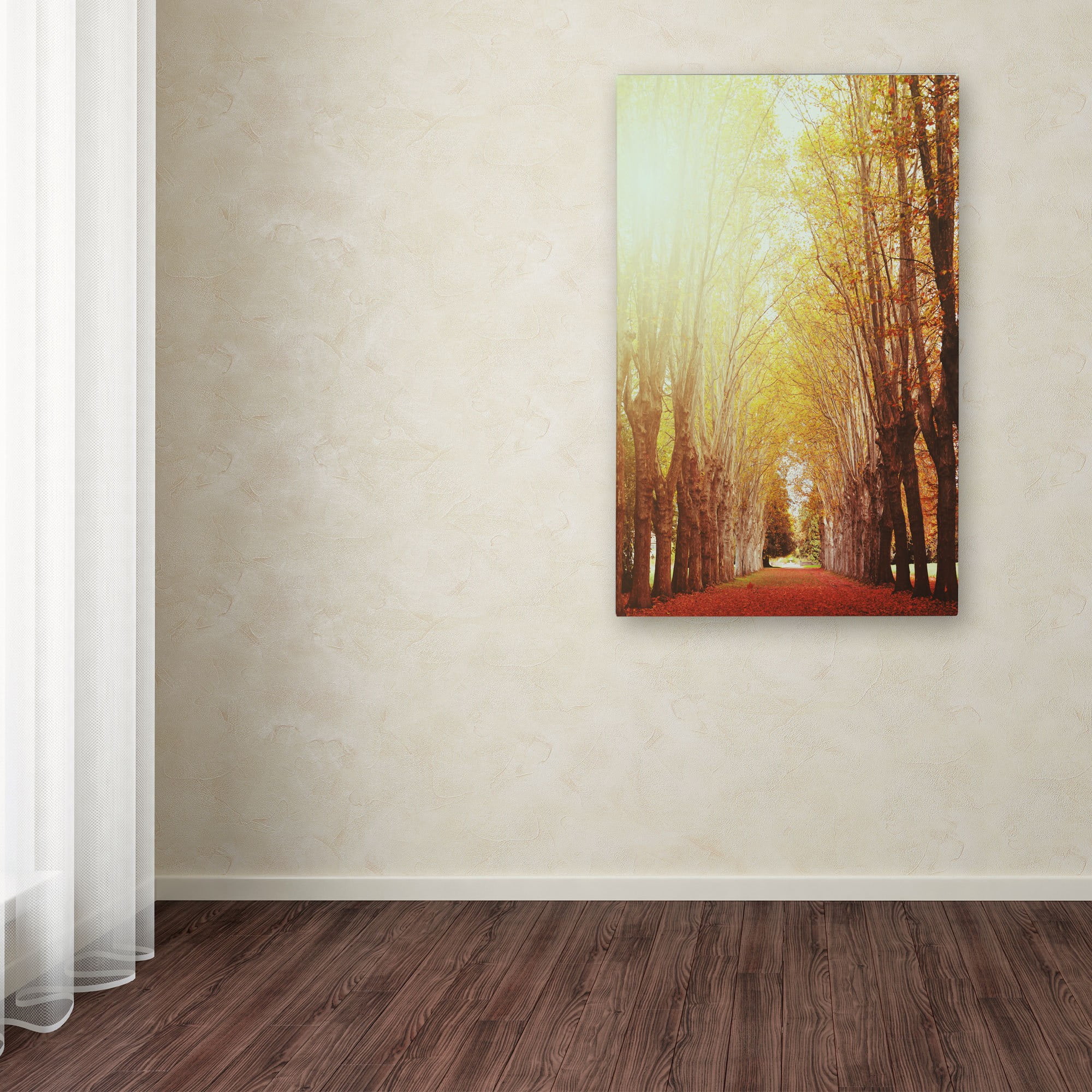 Trademark Fine Art "Fountains of Light" Canvas Art by Philippe Sainte-Laudy