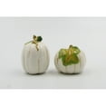 thumbnail image 3 of Ceramic White Pumpkin Salt and Pepper Shakers Gift Set, 3 of 4