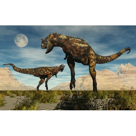 a pair of carnotaurus dinosaurs fighting over territory canvas art