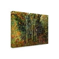 thumbnail image 4 of Canvas Wall Art - Mandy Budan 'Verdigris' Wall Art for Living Room, Bedroom, or Office Décor by Trademark Fine Art - 47 x 35 Inches, 4 of 4