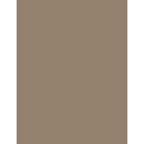 Cardstock Warehouse Lessebo Shitake Brown - 8.5 x 11 inch 111 lb. Cardstock Paper - 25 Sheets