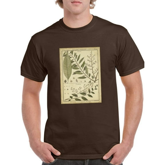 Talisia And Claufena Leaves T-Shirt Men -Denis Diderot Designs, Male Medium