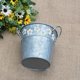 thumbnail image 3 of QUMIIRITY De Metal Retro Plateado Para Plantas Y Interior Con Detalles De Margarita, 3 of 8