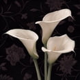thumbnail image 2 of Levashov, Igor 26x26 Gold Ornate Wood Framed with Double Matting Museum Art Print Titled - Calla Elegante, 2 of 4