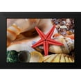 thumbnail image 2 of Lavoie, Tina 18x13 Black Modern Framed Museum Art Print Titled - Seashells, 2 of 5