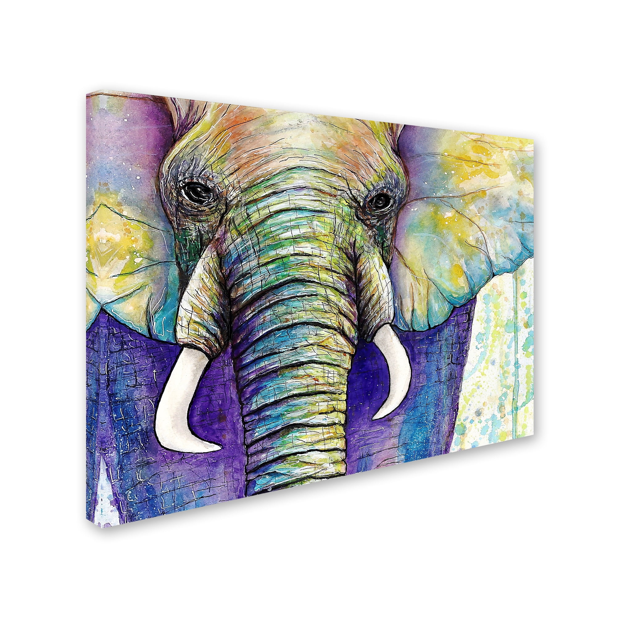 Trademark Fine Art 'Elephant Face' Canvas Art by Michelle Faber