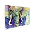 thumbnail image 2 of Trademark Fine Art 'Elephant Face' Canvas Art by Michelle Faber, 2 of 3
