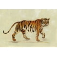 thumbnail image 2 of Vassileva, Silvia 24x17 Black Ornate Wood Framed with Double Matting Museum Art Print Titled - Walking Tiger, 2 of 4