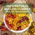 thumbnail image 6 of (2 PACK) Mullein Leaf Gummies 2000mg, Herbal Dietary Supplement, Mullen for Lungs Mullein Capsules, 120 Count, 6 of 9