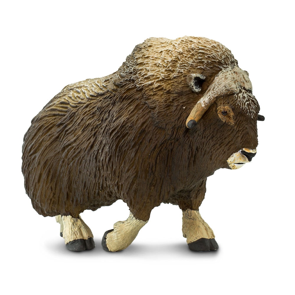 Safari MUSK OX solid plastic toy figure wild zoo Arctic animal oxen* NEW *