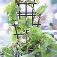 thumbnail image 3 of MYG Plant Support, Trellis, Indoor Plants,Grid Combination Stacking, for garden, 3 of 9