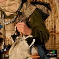 thumbnail image 7 of Avery Outdoors Game Hog Strap- MOBL, 7 of 7