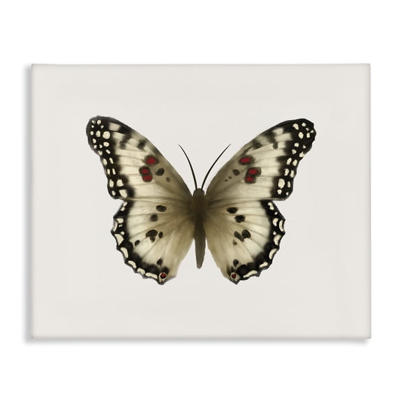 Stupell Industries Contemporary Tan Symmetrical Butterfly Canvas Art, 20 x 16, by Elizabeth Medley