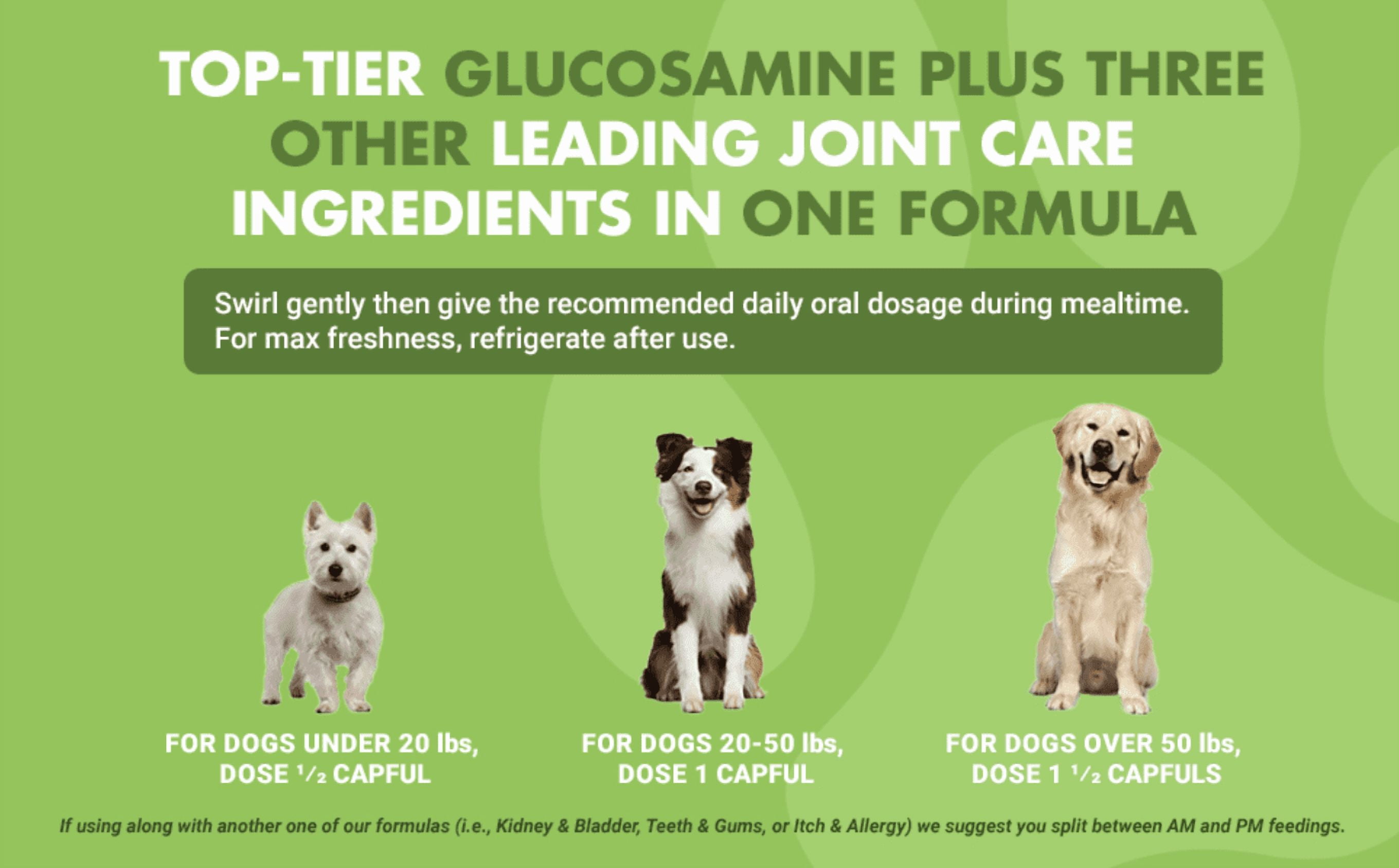 Liquid-Vet Bien-Être Articulaire Glucosamine à Action Rapide pour Chiens – Saveur Poulet, Complément pour la Santé des Articulations, 473 ml Glucosamine, 474 ml