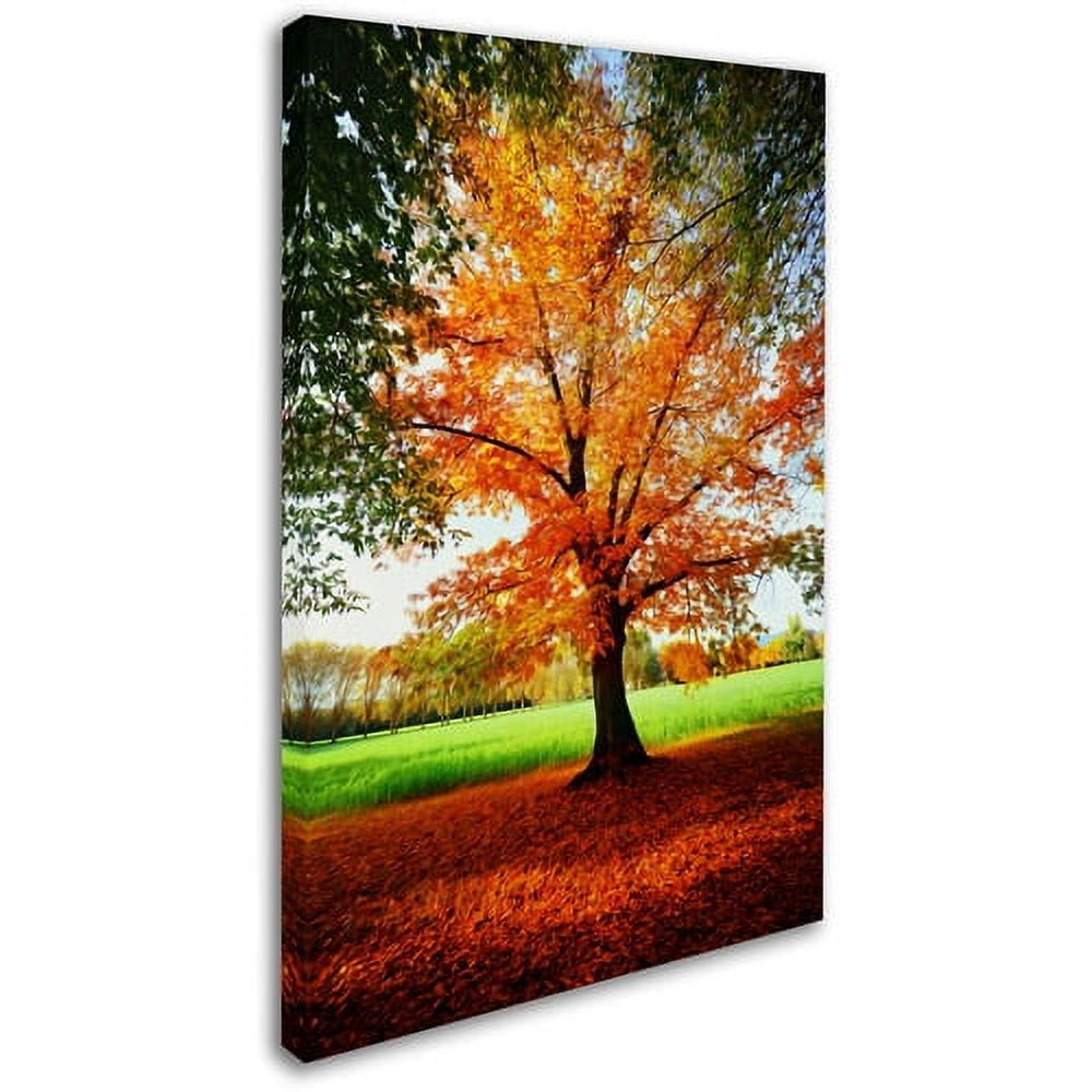Trademark Fine Art "Tout Feu Tout Flamme" Canvas Art by Philippe Sainte-Laudy