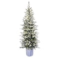 thumbnail image 1 of Árbol de Navidad Puleo International, abeto ártico flocado preiluminado de 6 pies, 1 of 3