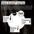 thumbnail image 2 of Ã©volis Reverse Repair Treatment Mask | Deep Conditioning Hair Mask for Hair Growth & Repair | Safe for Color Treated Hair (8.5 fl oz), 2 of 9