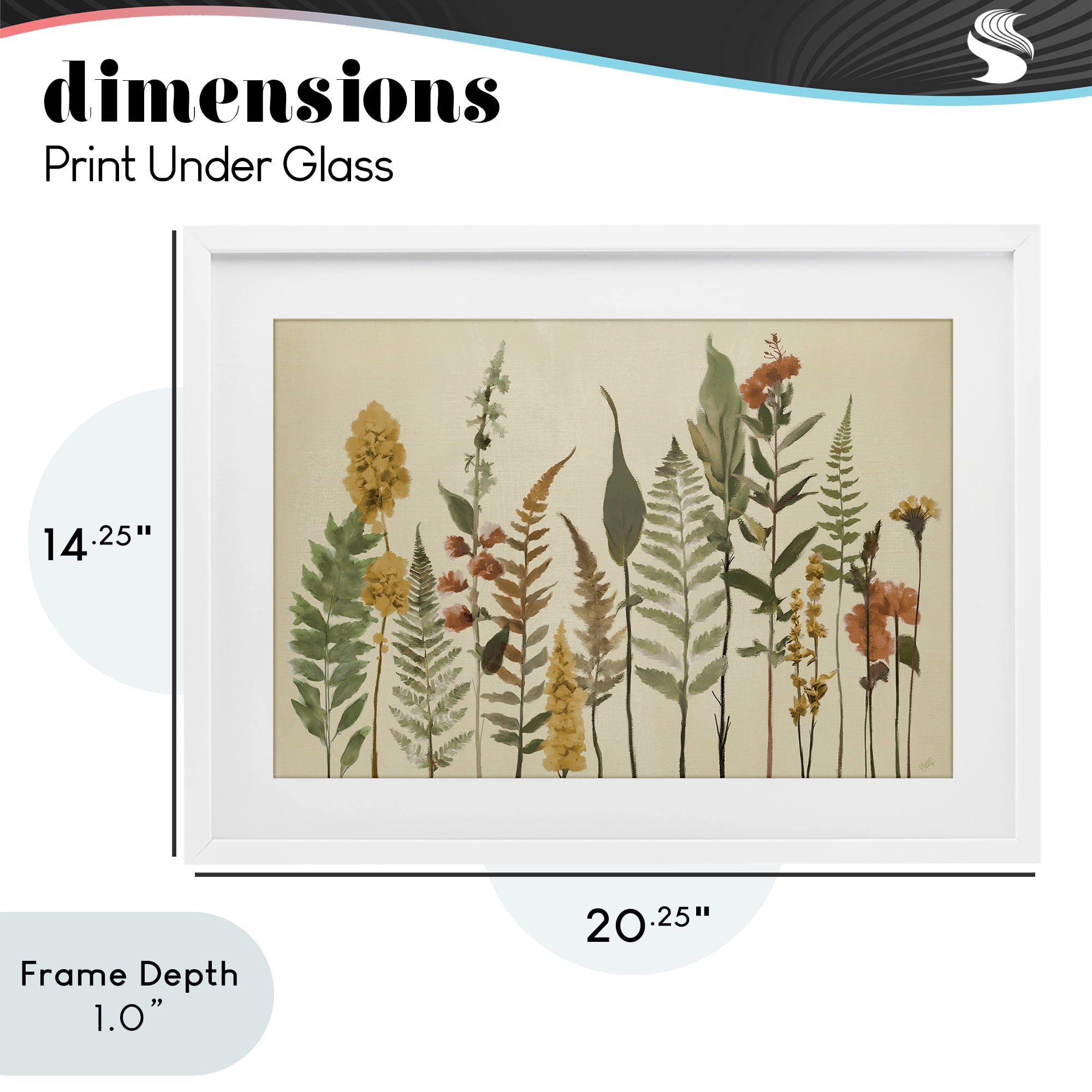 Stupell Industries Fall Toned Botanics White Framed Print Under Glass, design by Elizabeth Medley