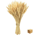 thumbnail image 1 of Ramo De Trigo Naturaleza Muerta Decoracion 150 Espigas Lab.G, Café, 1 of 5