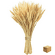 thumbnail image 1 of Ramo De Trigo Naturaleza Muerta Decoracion 150 Espigas Lab.G, Café, 1 of 5