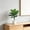 Green B, variant on Gallickan Artificial Tree Tall Potted Plant C, Realistic Wooden Trunk for Living Room Modern Floor Decoration Indoor Corner, 1pc