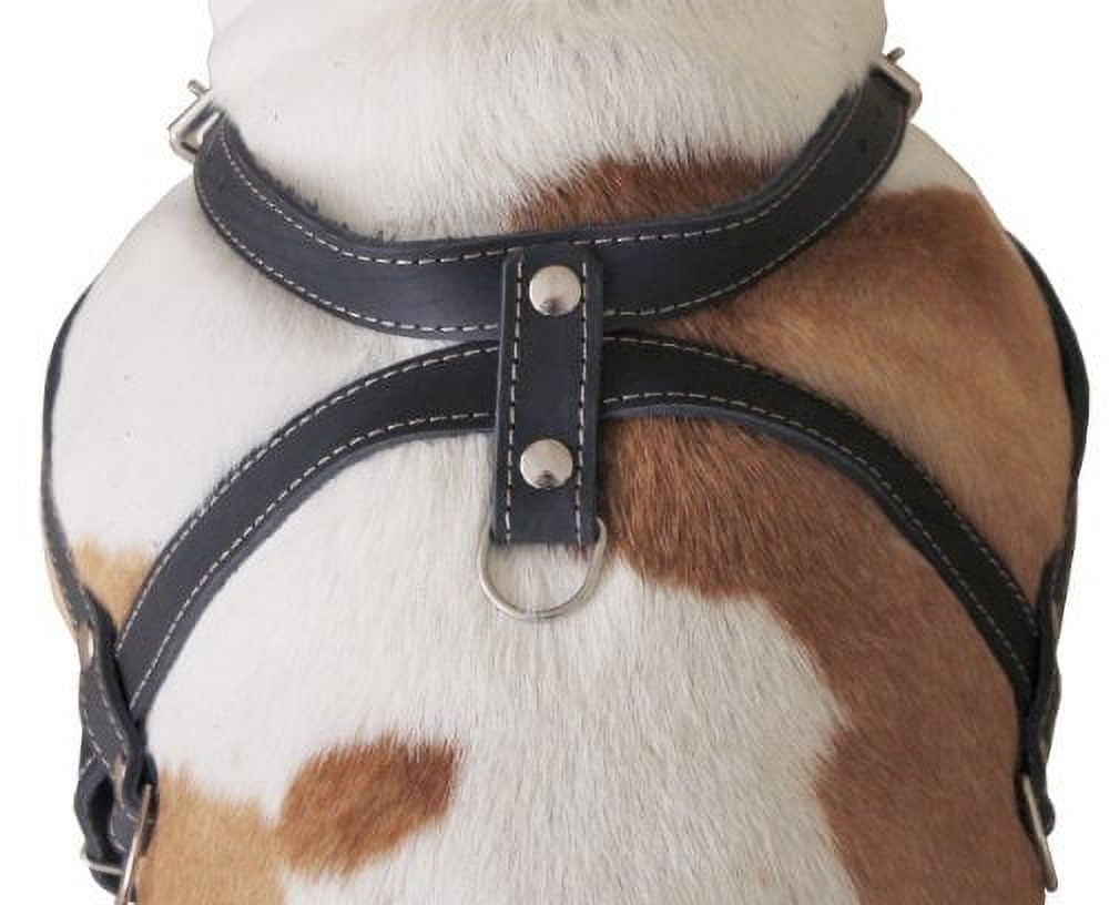 High Quality Leather Dog Pulling Walking Harness . 33"-37" Chest, 1" Wide Straps. Pitt Bull, Boxer