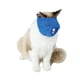 thumbnail image 1 of Bozales de malla para gatos, bozales para gatos bozal de malla ajustable multiusos suministros de aseo para gatos resultados impresionantes, 1 of 8