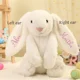 thumbnail image 3 of Conejito de peluche bordado con el nombre del niño Juguete de peluche personalizado hecho a mano Regalo para el primer niño de Pascua, 3 of 5