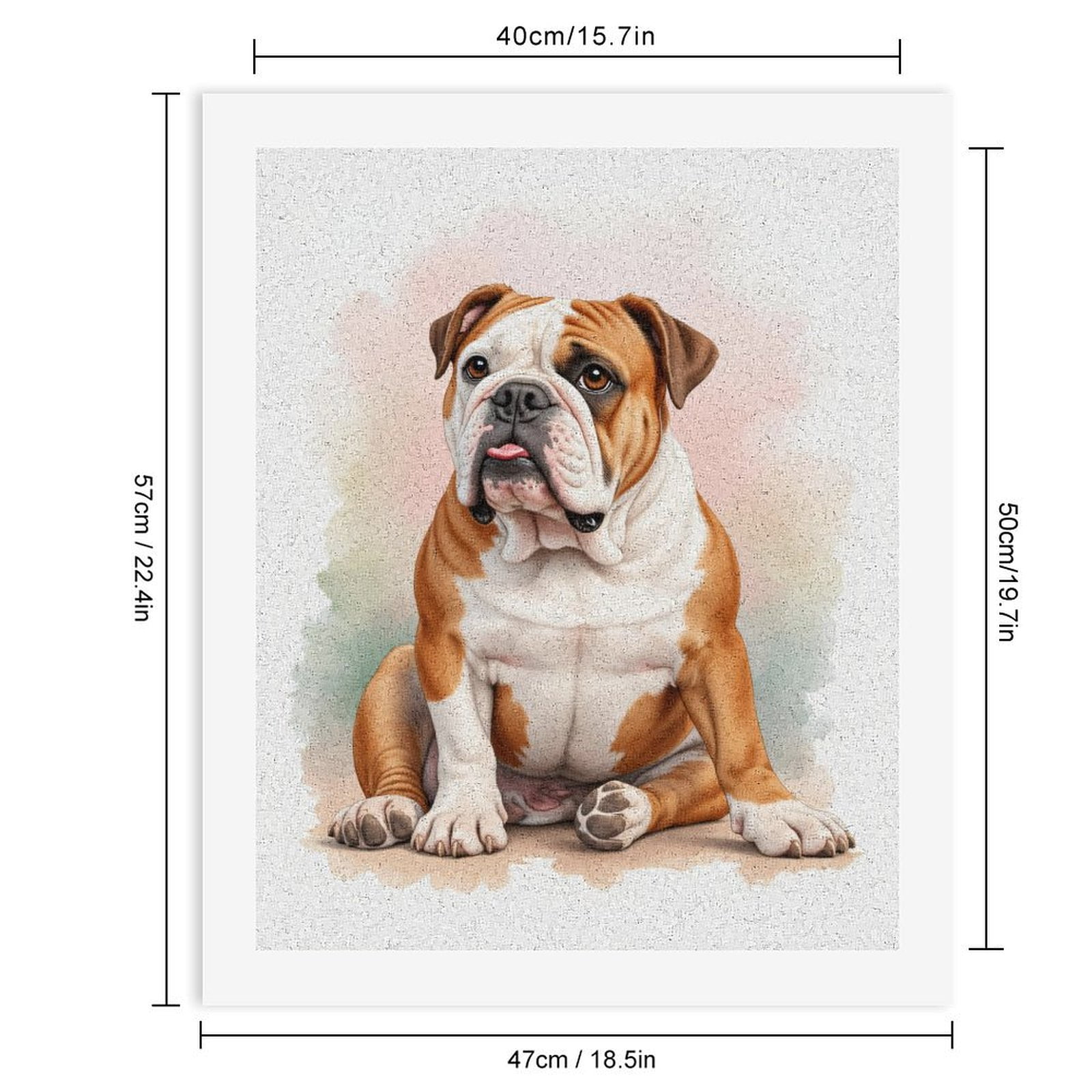Paint by Numbers Kit for Adults, Bulldog Portrait Colorful Art Paint by Numbers, Easy Paint by Numbers Kit for Adults Beginner, DIY Adult Paint by Number Kits on Canvas, 12x16in Home Decor