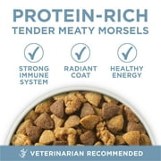Purina One Plus Joint Health Chicken & Rice Flavor Dry Dog Food, 16.5 lb Bag