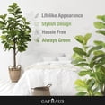 thumbnail image 5 of CAPHAUS 6 to 7 ft Fig Artificial Tree in Pot with Dried Moss, 5 of 9