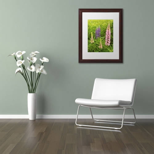 Trademark Fine Art "Lupine Family" Canvas Art by Michael Blanchette Photography White Matte, Wood Frame