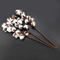 thumbnail image 3 of Lot de 3 tiges de coton naturel, 10 boules de fleurs séchées, pour décoration de mariage, de maison, 60 cm, 3 of 4