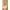Nude, variant on Women's Aviana 2460 Minimizer Underwire Bra (Nude 34DDD)